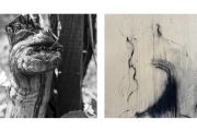 “Pareidolia”, il 10 maggio inaugurazione mostra a Villa Picchetta